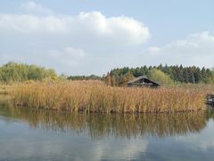 -溱湖国家湿地公园