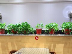 -芳芳餐厅(白沙路店)