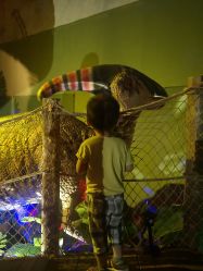 -恐龙探索乐园(磁器口店)