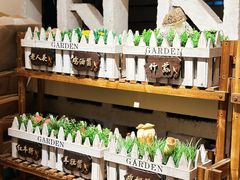 -菌极鲜野生菌火锅店(阳明祠店)