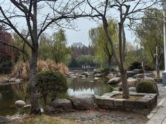 -新虹桥中心花园