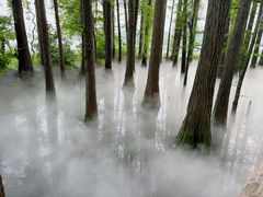 -东湖落雁景区