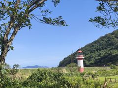 -花岙岛