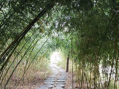 -黄花溪