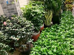 -双季花艺园艺市场(浦东店)