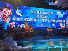 -大连圣亚海洋世界