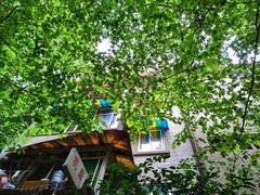 -四川大学(望江校区)