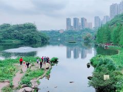 -重庆彩云湖湿地公园