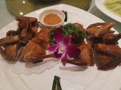 乳鸽-金八仙酒店