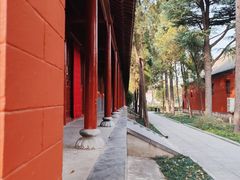 -洛阳白马寺