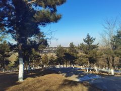 -莫子山公园