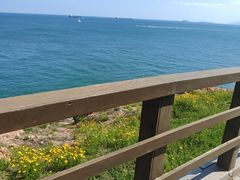 -青岛海滨风景区