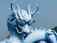 -大连老虎滩海洋公园