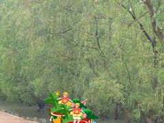 -宝安西湾红树林湿地公园