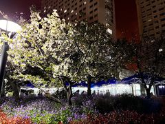 -上海市普陀区中心医院