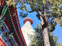 -妙应寺白塔