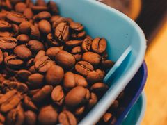 -FUN COFFEE