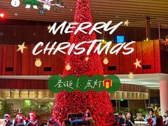 -北京望京凯悦酒店The Lounge大堂酒廊