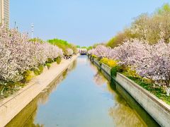 -海棠花溪(元大都城垣遗址公园)