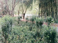 -西安市长乐公园