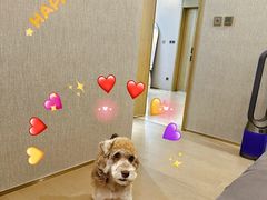 -宠物家(大兴旧宫店)