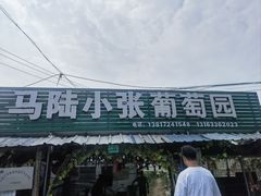 -马陆小张葡萄园农家乐