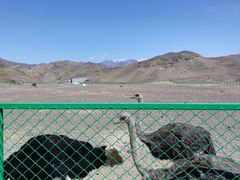 -新疆天山野生动物园