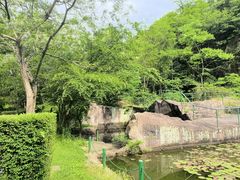 -伍山石窟