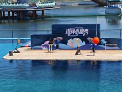 -秦皇岛乐岛海洋王国