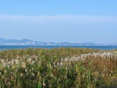 -东山风景区(洞庭东山)