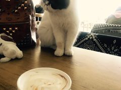 -平行世界·猫咖(首经贸店)