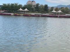 -光明港公园