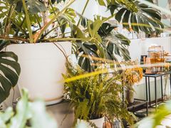 -一尺花园(安和花园店)