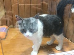 -龟与熊猫宠物公园(南坪店)