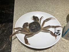 -初色海鲜自助(万丰路店)