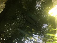 -青青世界