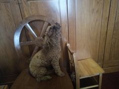 -川悦壹号·川菜(蠡溪路店)