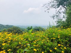 -远山有窑