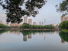-宝岛公园