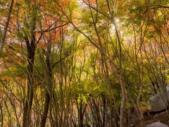 -崂山巨峰游览区