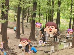 -白水寺森林公园