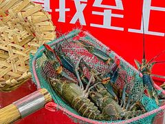 -星记小馆·小蓝龙·老南京砂锅菜(上海路店)