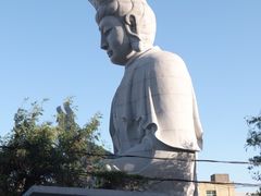 -巴浪鱼咖啡馆 Local Fish