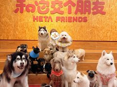 -和它·交个朋友·狗咖猫咖(爱琴海店)