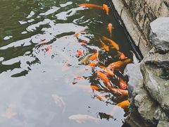 -豫园