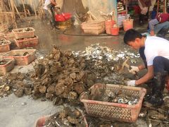 -蚝专家(北滘店)