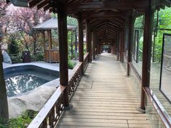 -金石唐风国际温泉会馆