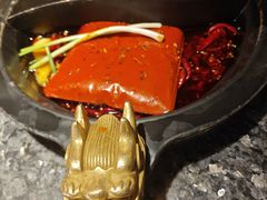 -蜀大侠火锅(总府路店)