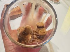 -志明眷村·台式融合菜·宵夜