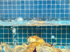 -阿湾楼·温州海鲜·江浙菜(京江路店)